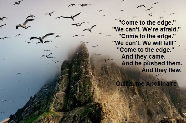 The Dream Doe Philosophy