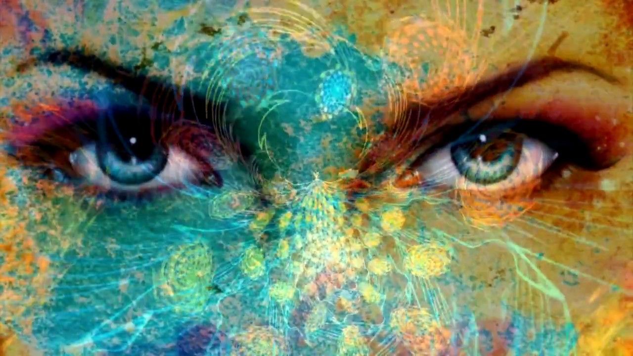 The Five Principles Of Universal Sovereignty – PARADIGM SHYFT