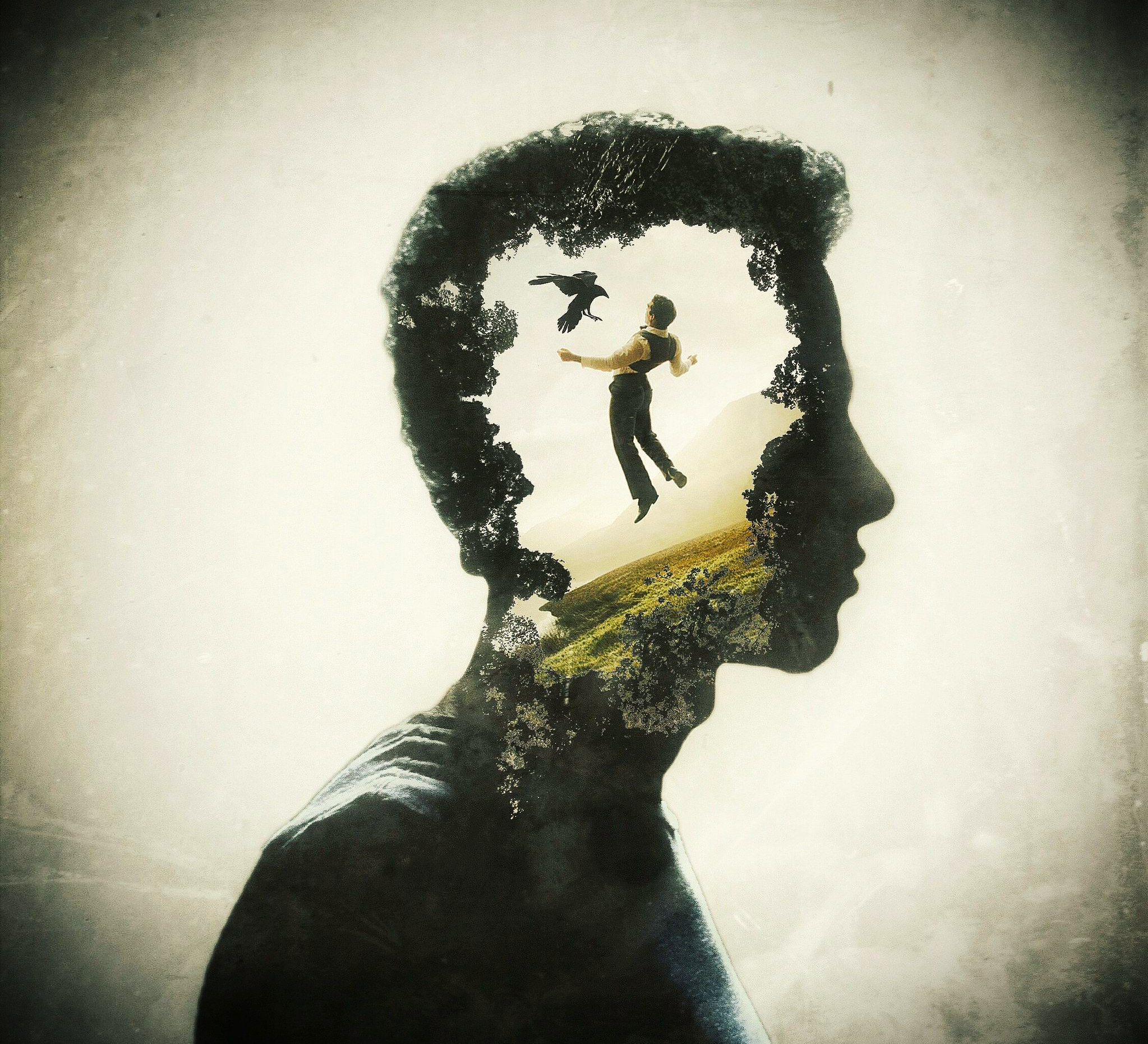 UNDERSTANDING INTERNAL CONFLICT: CAUSES EFFECTS SOLUTIONS - PARADIGM SHYFT